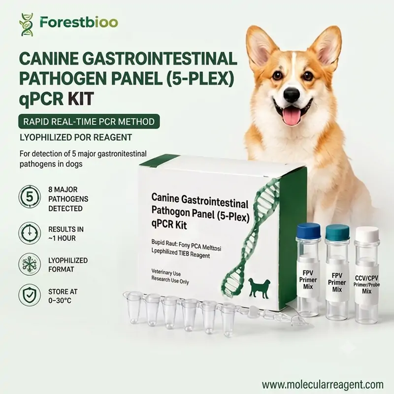 Canine Gastrointestinal Pathogen Panel (5-Plex) qPCR Kit Rapid Multiplex Real-Time PCR Detection Kit