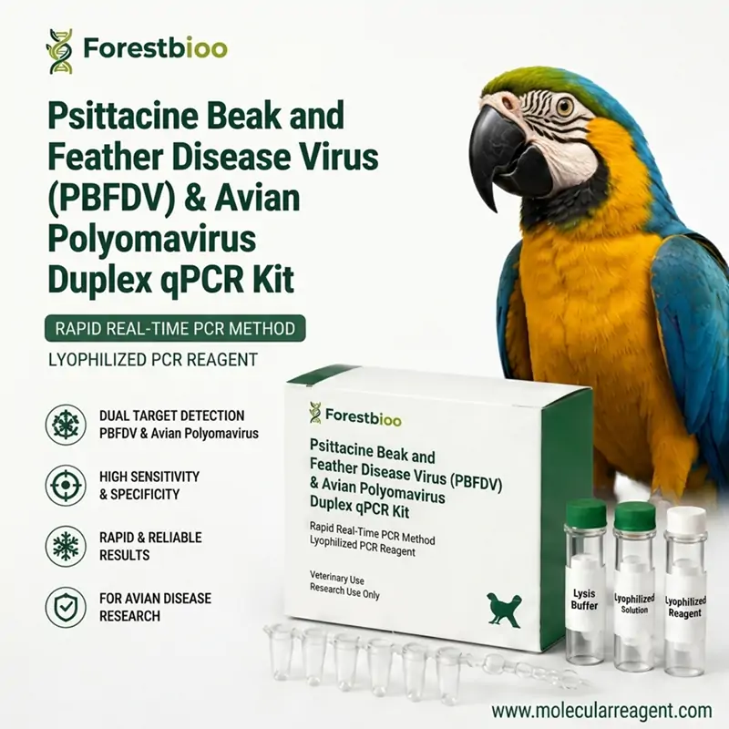 Parrot Feather Plucking Disease PCR Kit | Avian Polyomavirus qPCR Detection