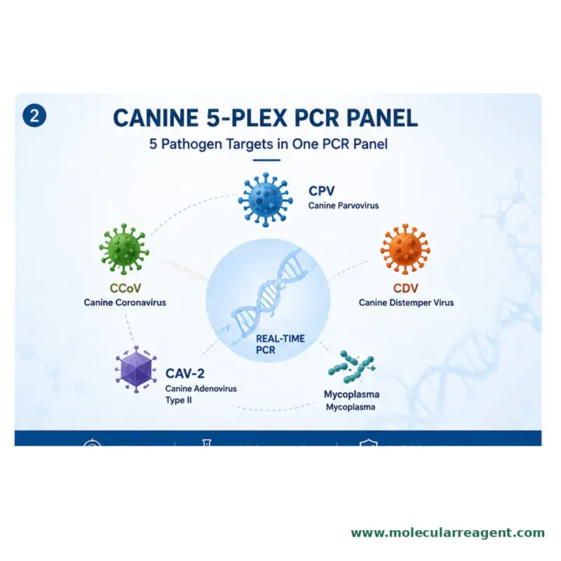 Canine Health Screening Panel (5-Plex) qPCR Kit | Dog Pathogen PCR Canine Health Screening Panel (5-Plex) qPCR Kit | Dog Pathogen PCR