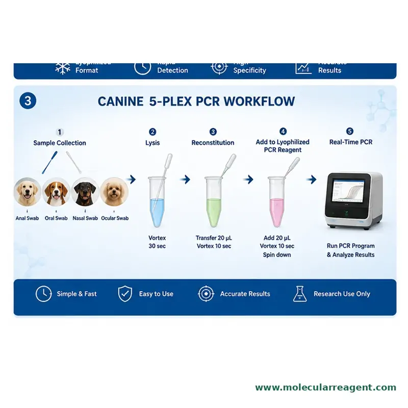 Canine Health Screening Panel (5-Plex) qPCR Kit | Dog Pathogen PCR Canine Health Screening Panel (5-Plex) qPCR Kit | Dog Pathogen PCR