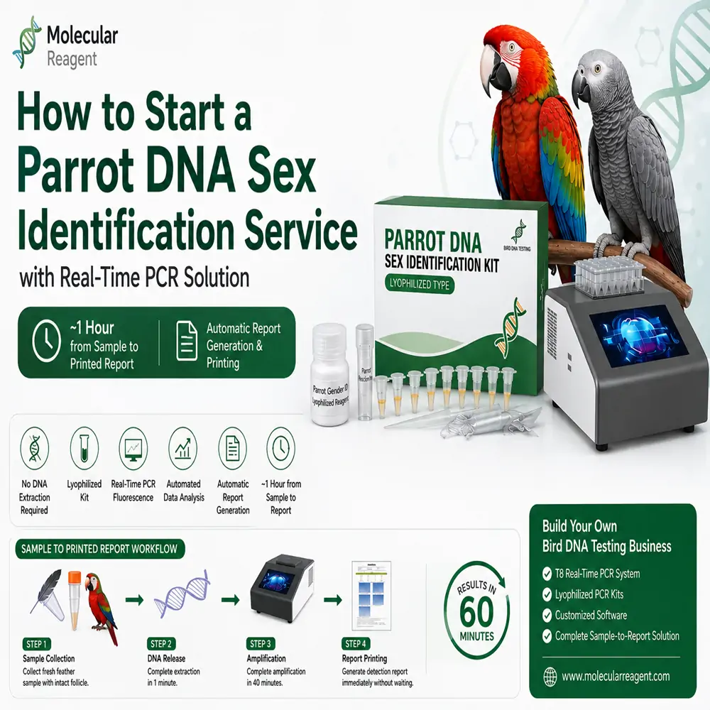  How to Start a Commercial Parrot DNA Sex Identification Service with a Real-Time PCR Solution