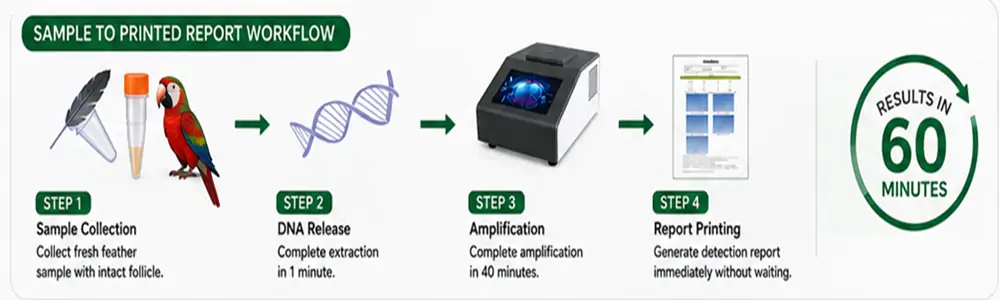 Parrot DNA Sex Identification Real-Time PCR Solution Parrot DNA Sex Identification Real-Time PCR Solution