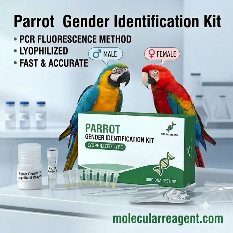 Parrot DNA Sex Identification Real-Time PCR Solution Parrot DNA Sex Identification Real-Time PCR Solution