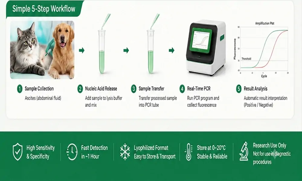 Parrot DNA Sex Identification Real-Time PCR Solution Parrot DNA Sex Identification Real-Time PCR Solution