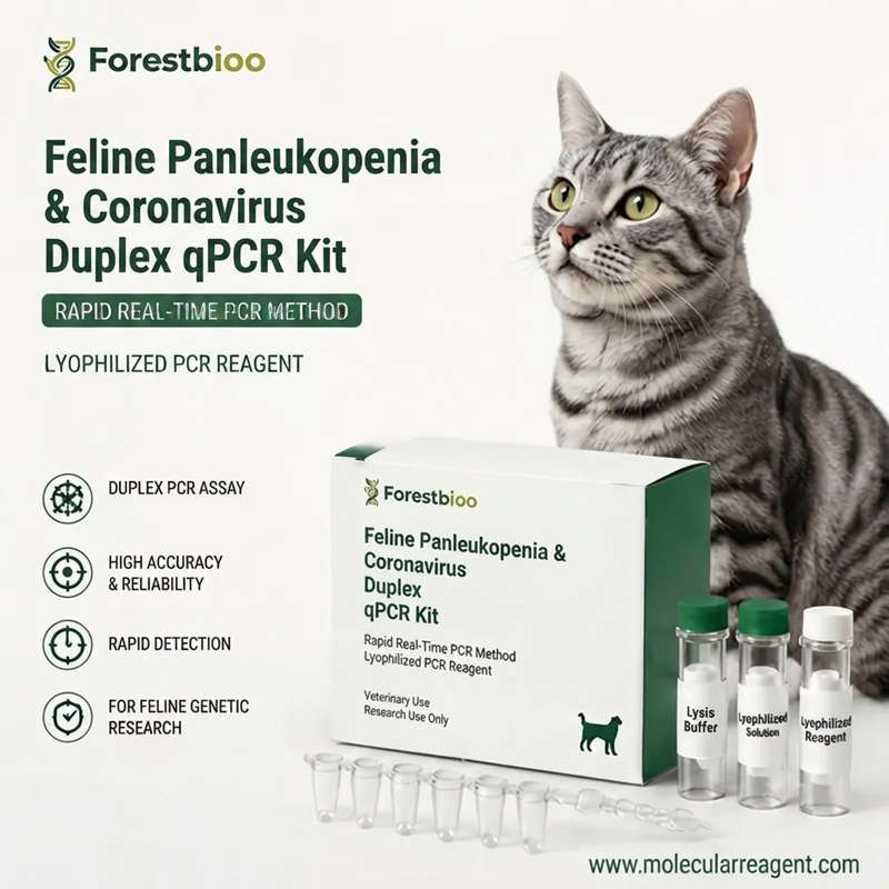 Feline Panleukopenia & Coronavirus Duplex qPCR Kit | Real-Time PCR