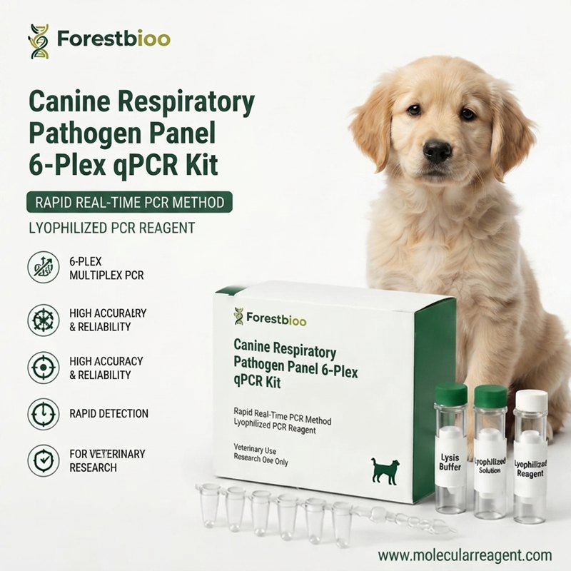 Canine Respiratory Pathogen Panel (6-Plex) qPCR Kit | Real-Time PCR