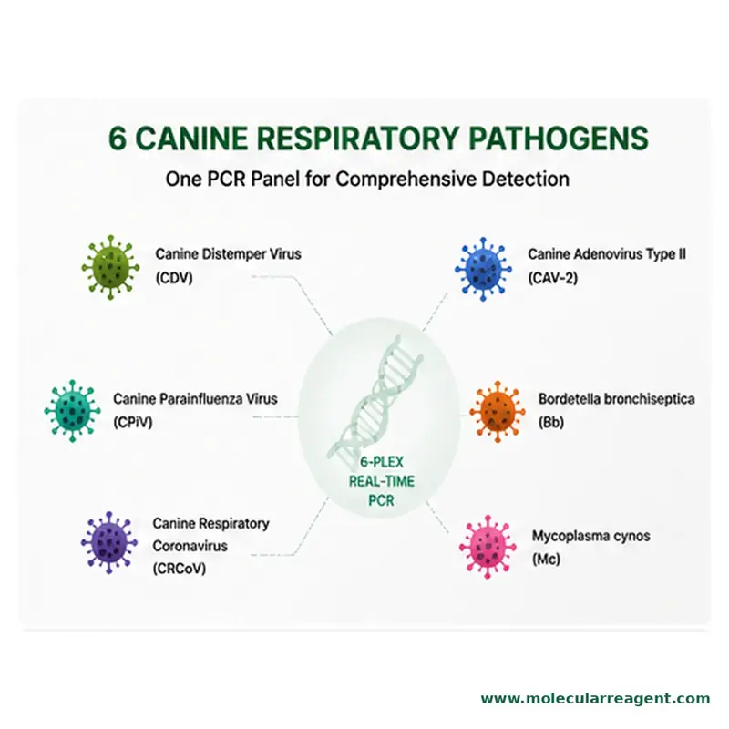 Canine Respiratory Pathogen Panel (6-Plex) qPCR Kit 
