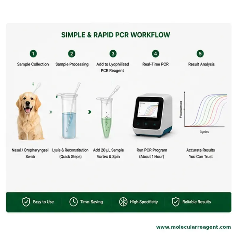 Canine Respiratory Pathogen Panel (6-Plex) qPCR Kit 