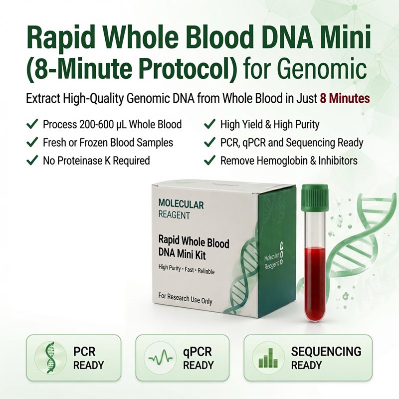 Rapid Whole Blood DNA Mini Kit (8-Minute Protocol) for g DNA Extration