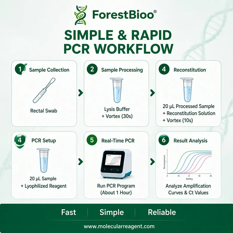Feline Diarrhea Pathogen Panel (5-Plex) qPCR Kit | Real-Time PCR