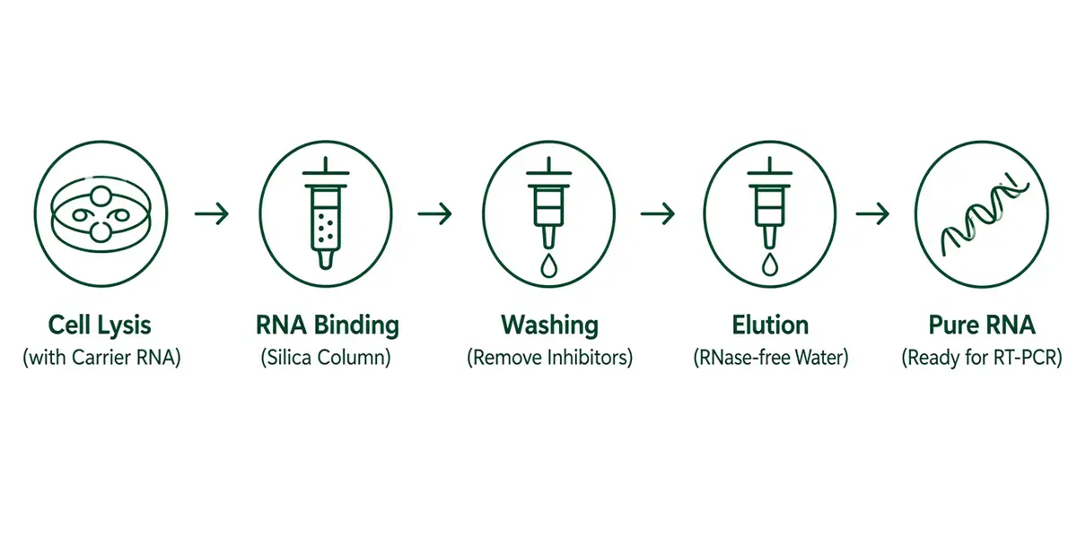 Micro Cells Total RNA Extraction Kit Micro Cells Total RNA Extraction Kit