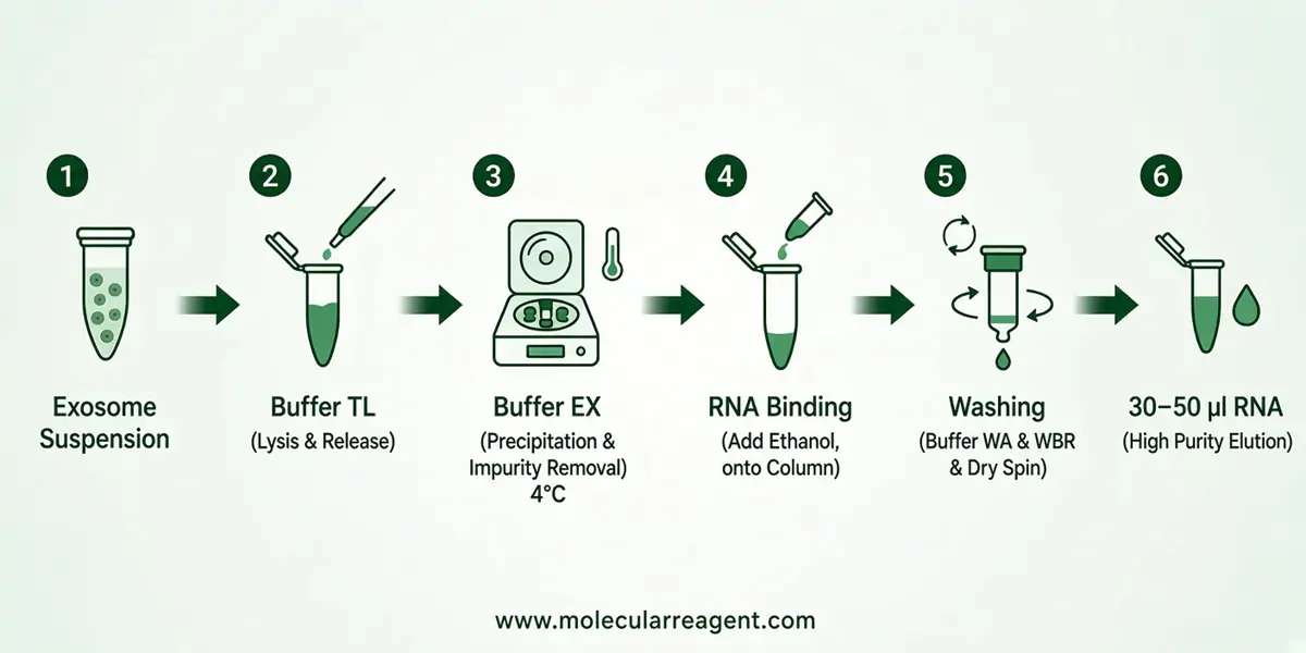 Exosome RNA Extraction Kit